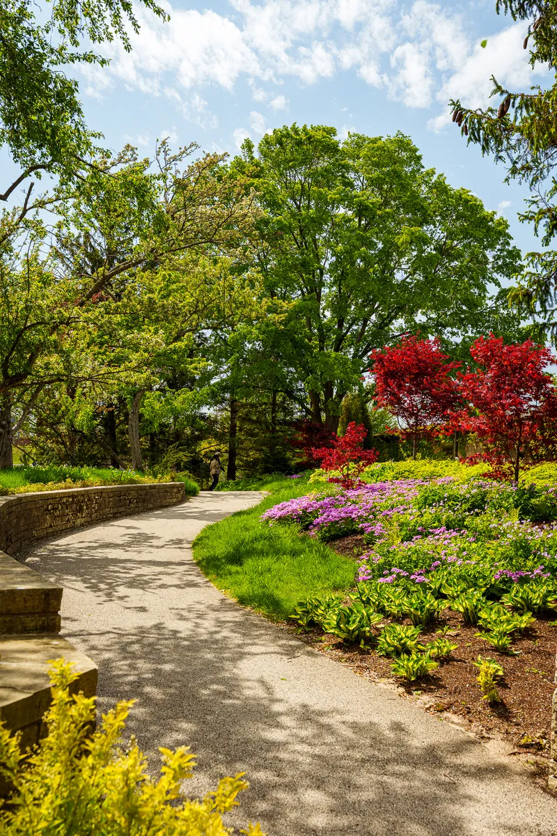 Gallery photo from Chicago Botanic Garden