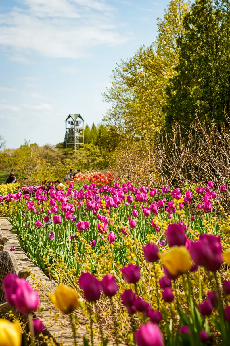 Gallery photo from Chicago Botanic Garden