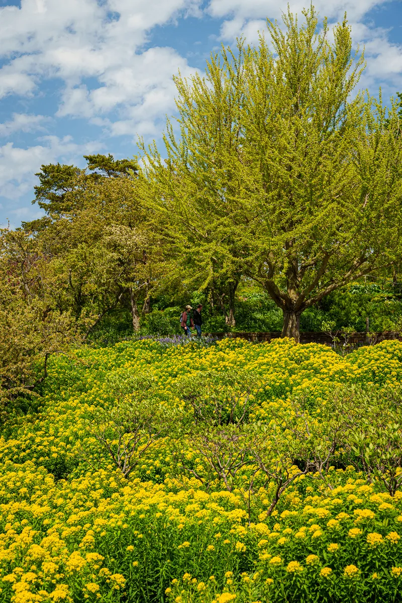 Gallery photo from Chicago Botanic Garden