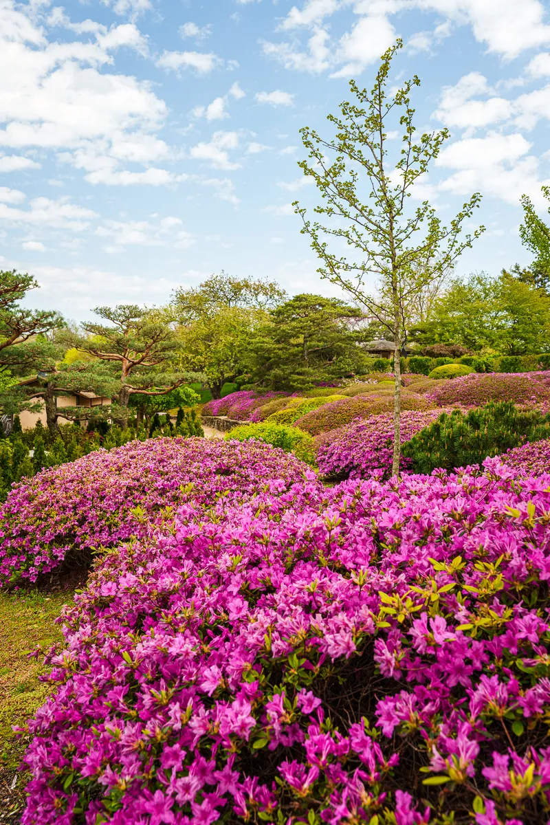 Gallery photo from Chicago Botanic Garden