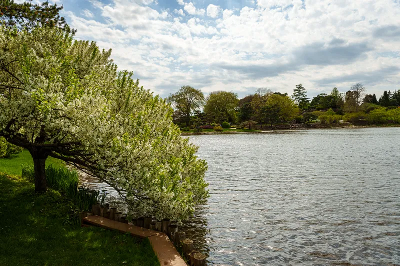 Gallery photo from Chicago Botanic Garden