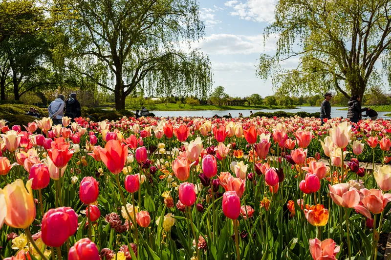 Gallery photo from Chicago Botanic Garden