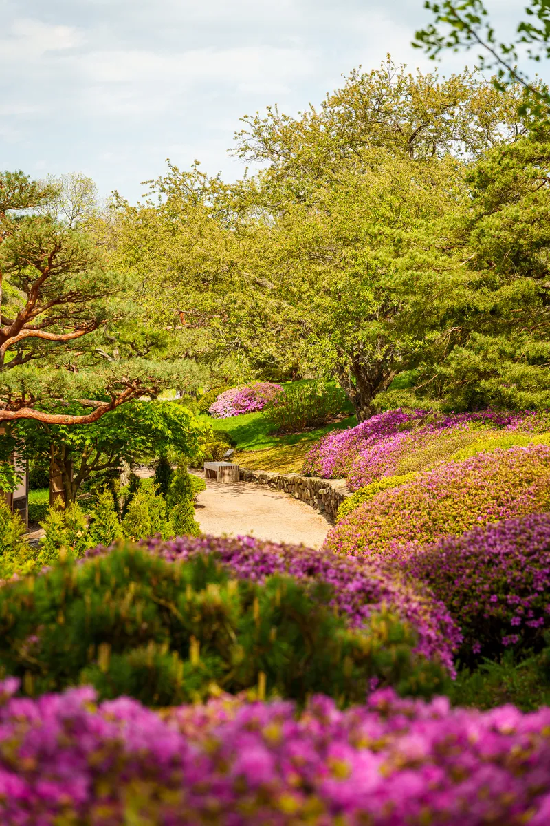 Gallery photo from Chicago Botanic Garden