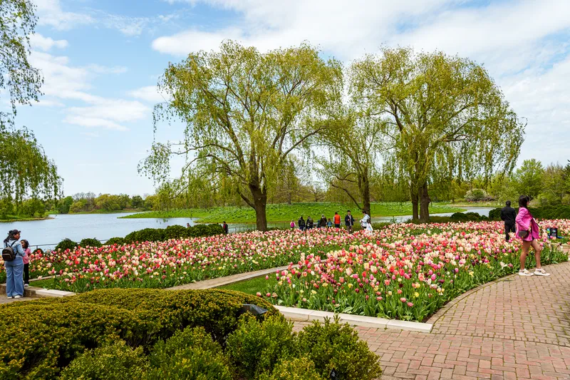 Gallery photo from Chicago Botanic Garden