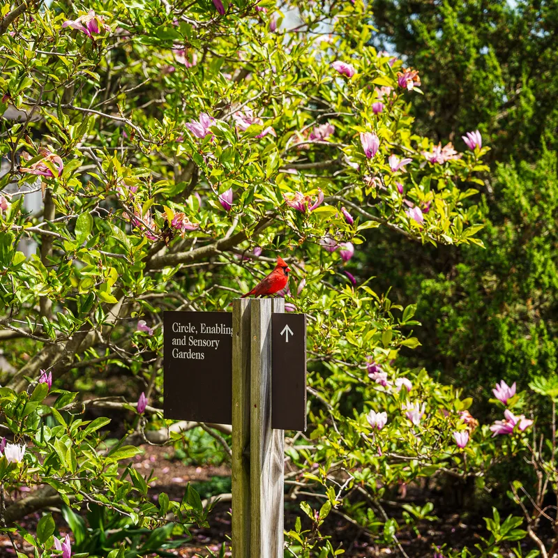 Gallery photo from Chicago Botanic Garden