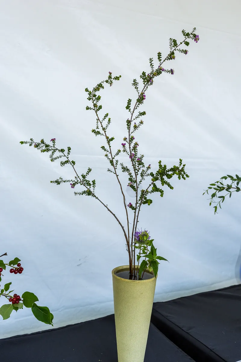 Gallery photo from Ikebana