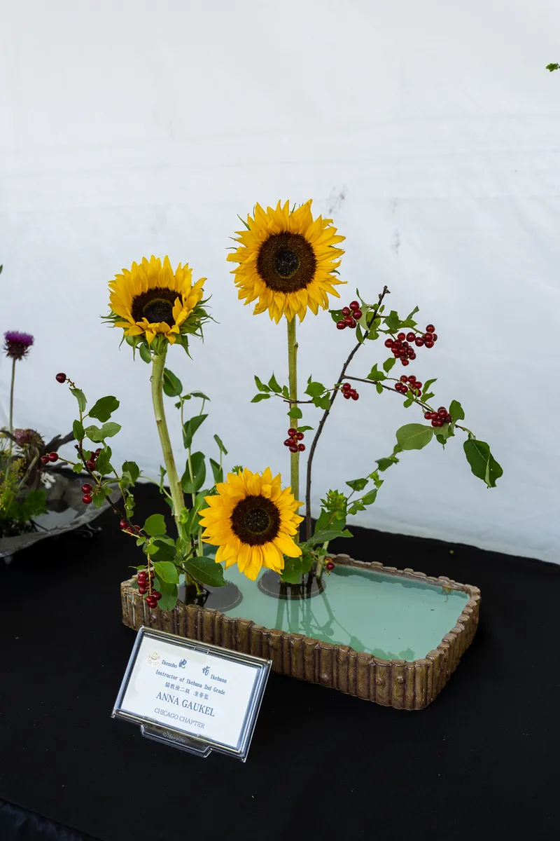 Gallery photo from Ikebana
