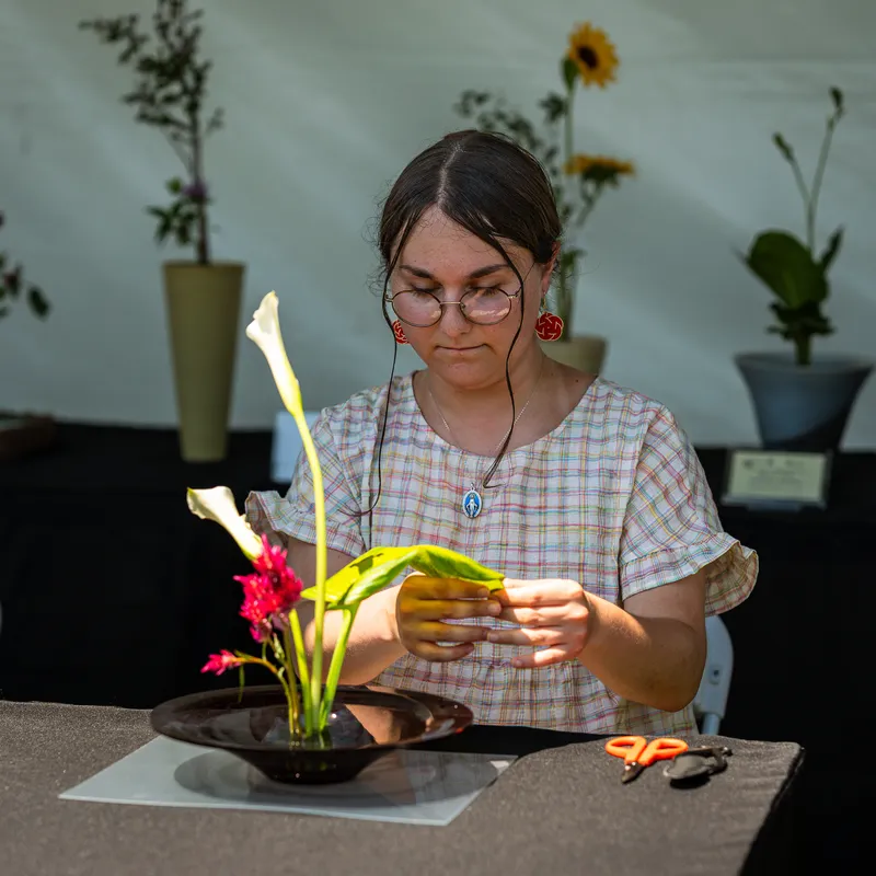 Gallery photo from Ikebana