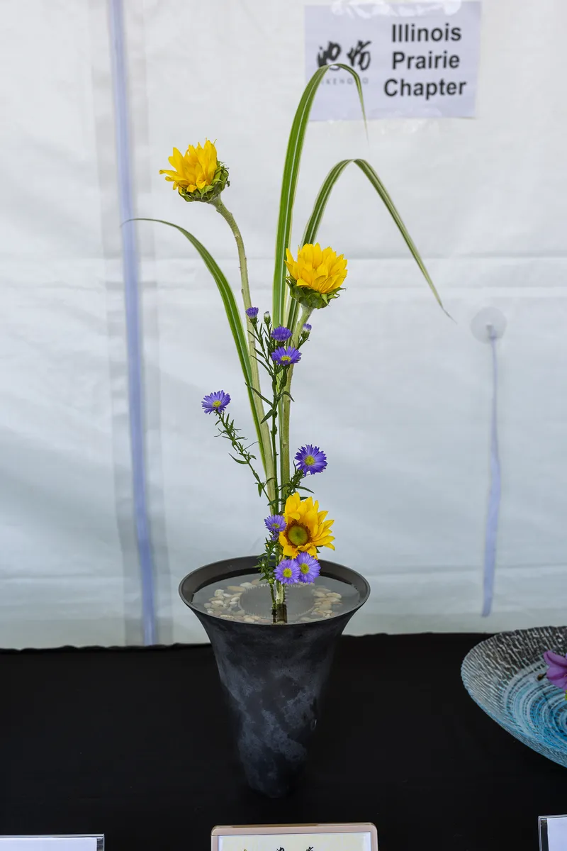 Gallery photo from Ikebana