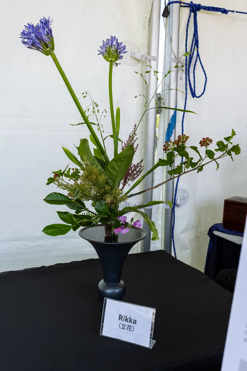 Gallery photo from Ikebana