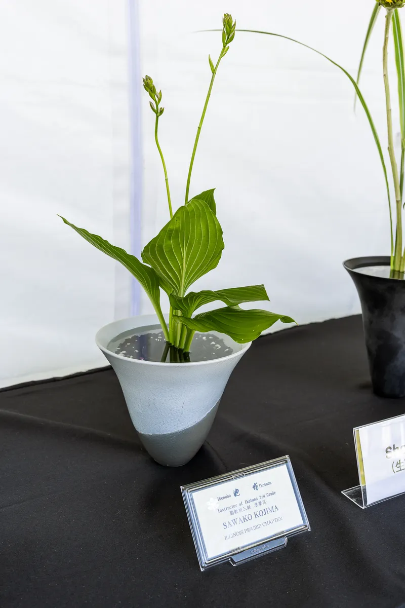 Gallery photo from Ikebana