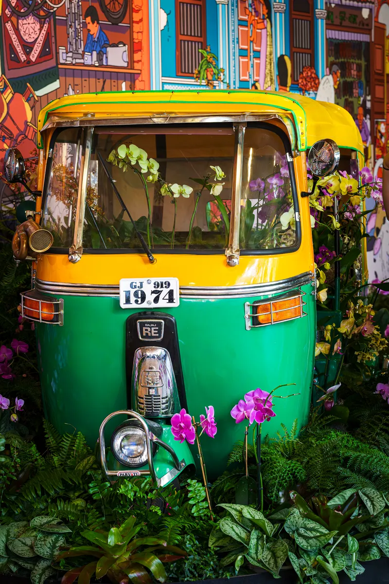 Gallery photo from The Orchid Show 2025 - India Blooms