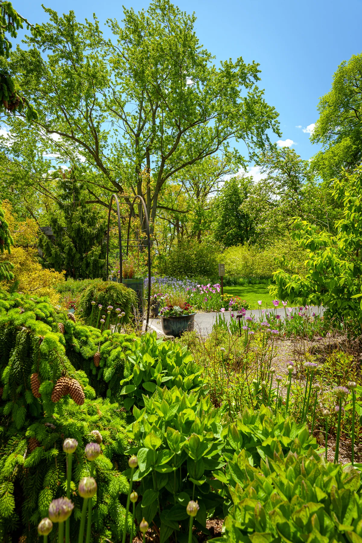 Cantigny Park