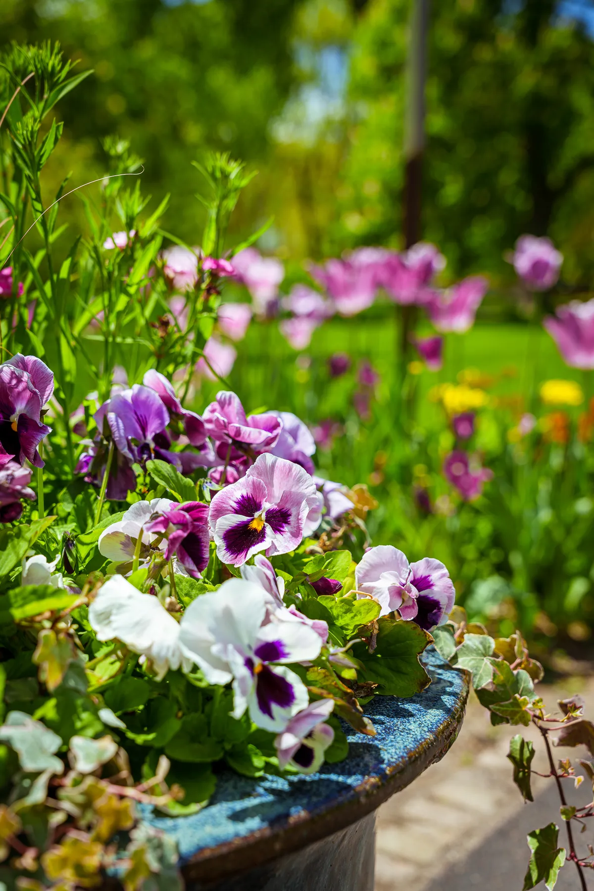 Gallery image of Cantigny Park