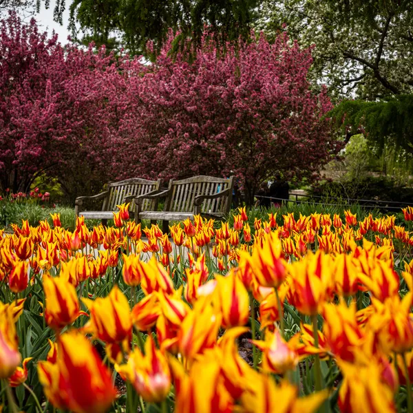 Chicago Botanic Garden
