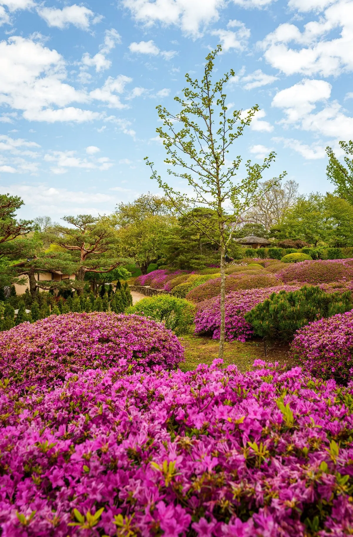 Gallery image of Chicago Botanic Garden