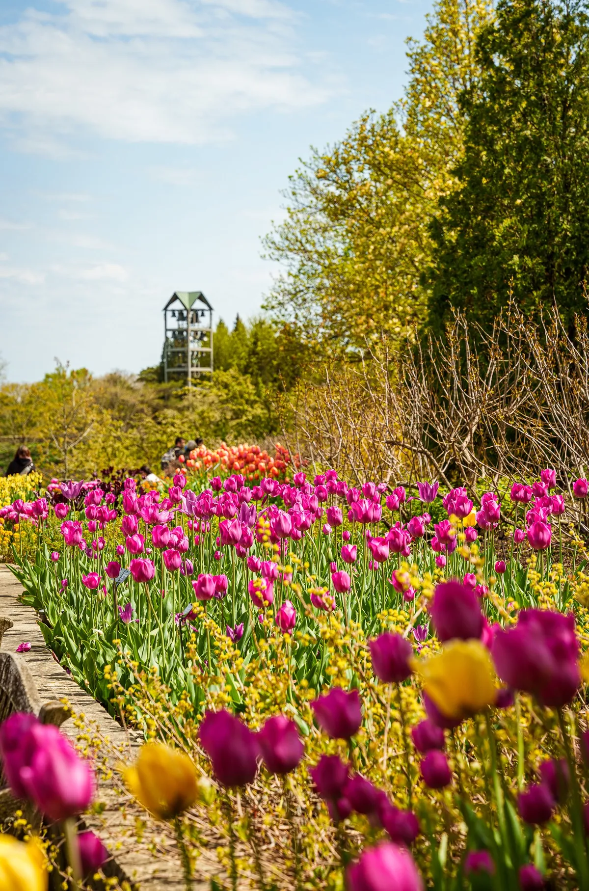 Gallery image of Chicago Botanic Garden