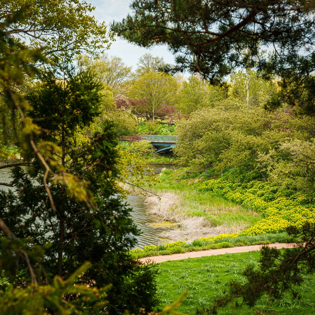 Gallery image of Chicago Botanic Garden