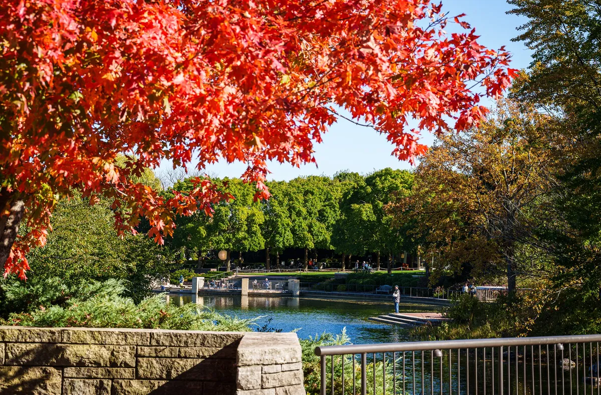 Gallery image of Chicago Botanic Garden