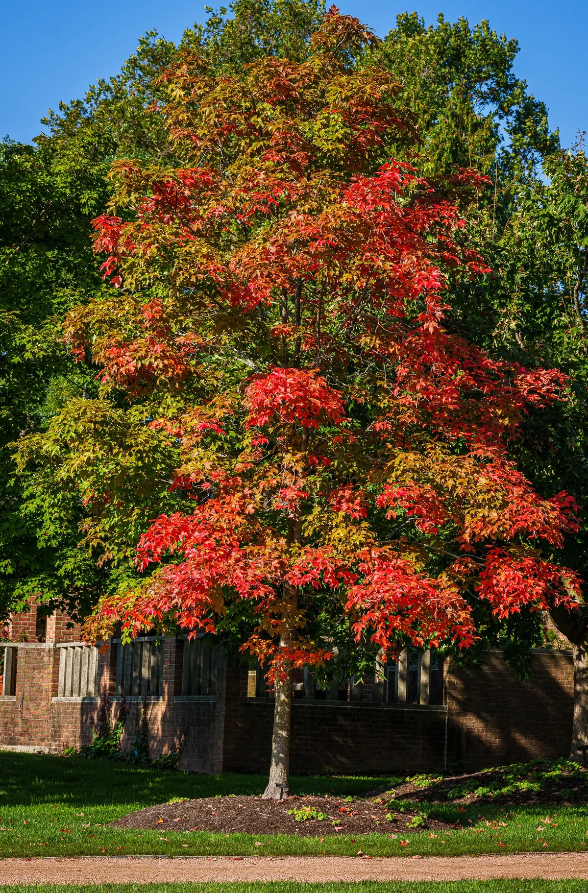Gallery image of Chicago Botanic Garden