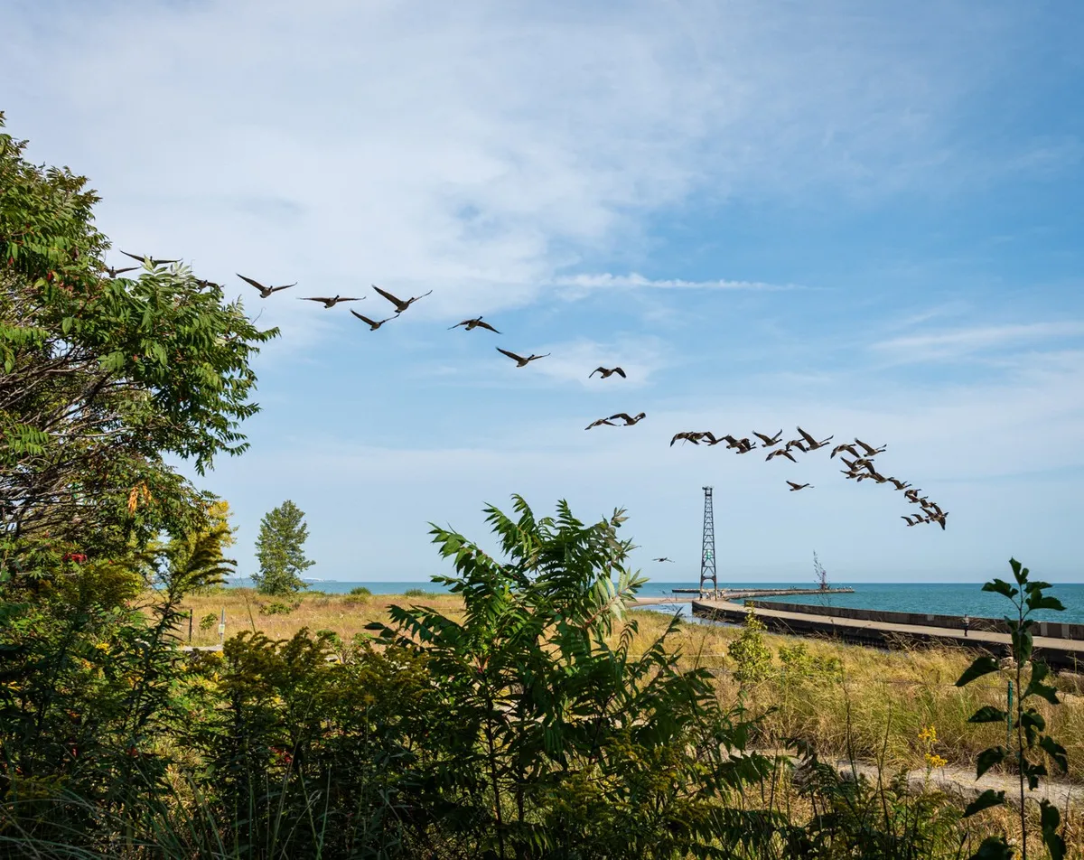 Gallery image of Montrose Point