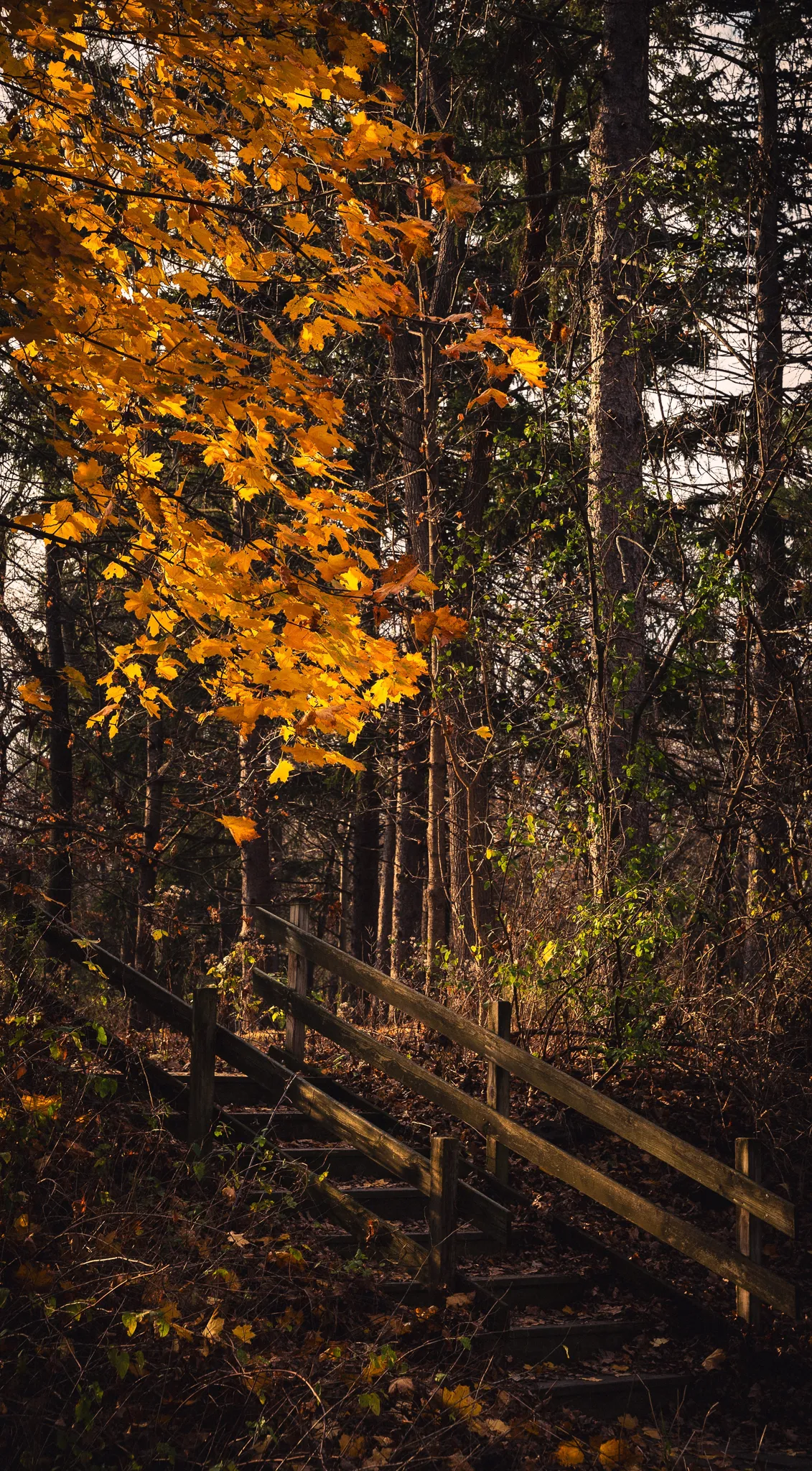 Gallery image of Spring Valley