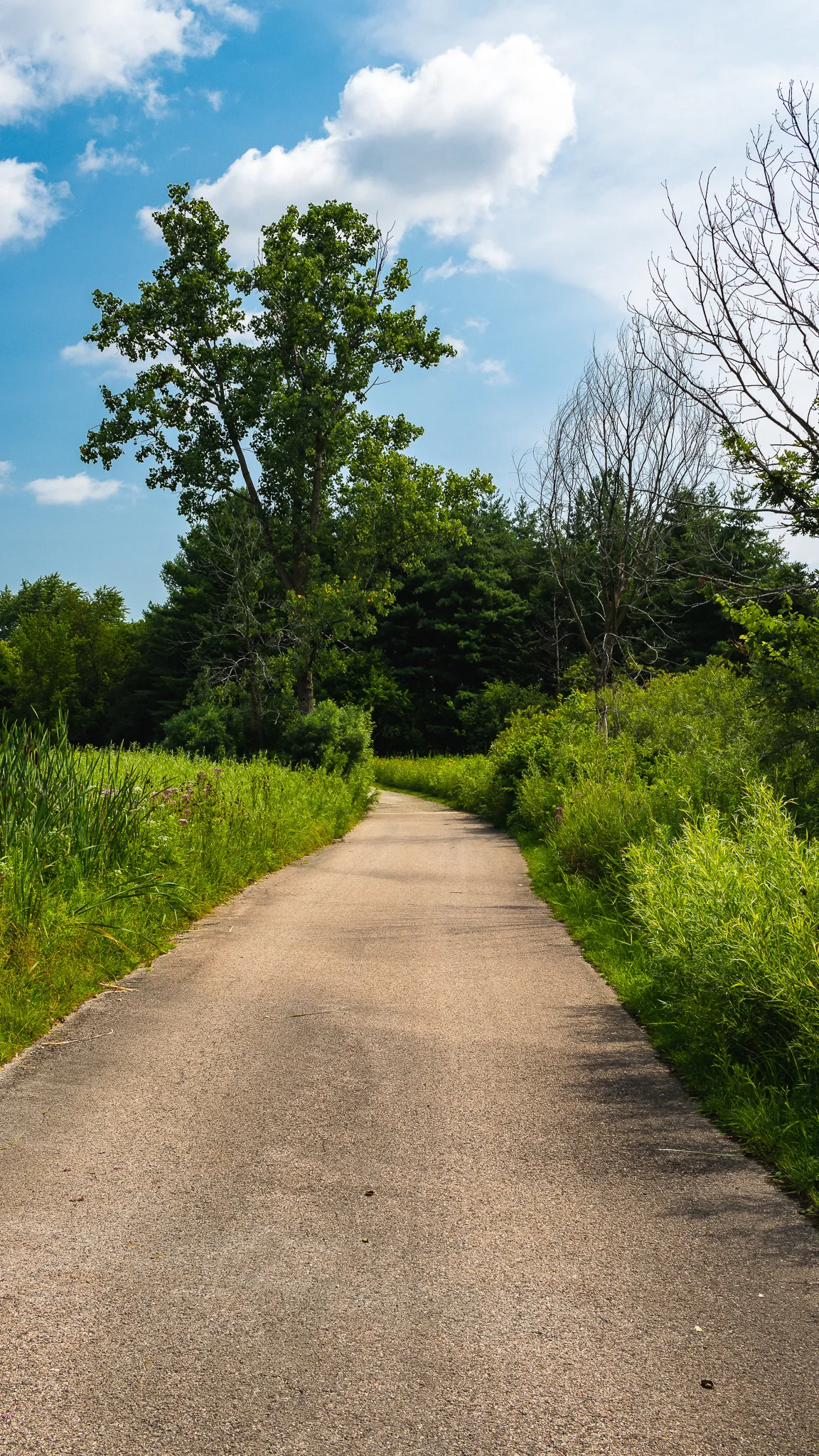 Gallery image of Spring Valley