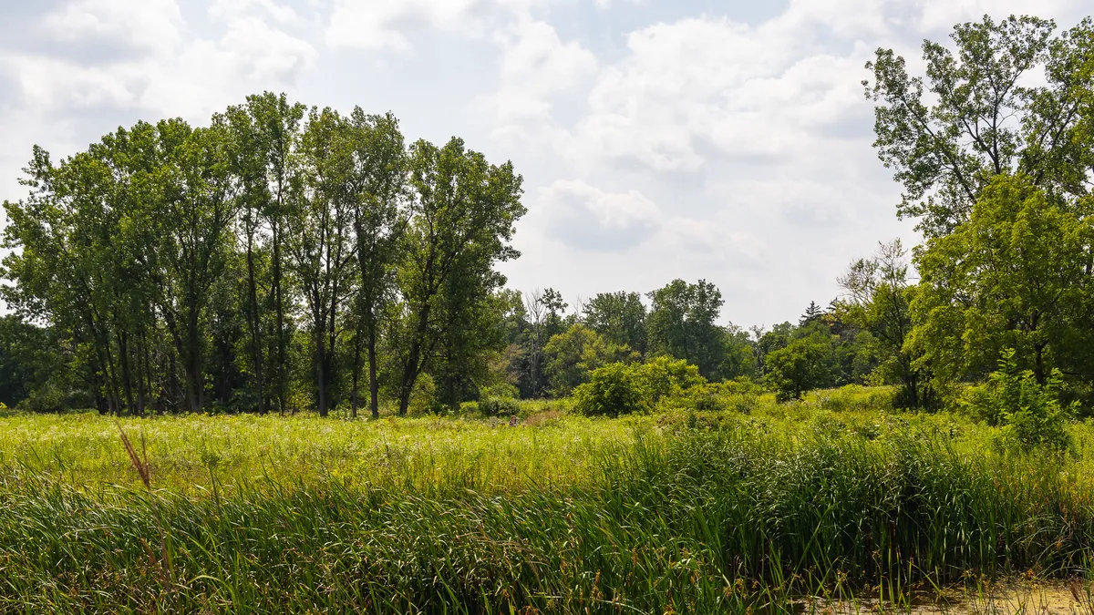 Gallery image of Spring Valley