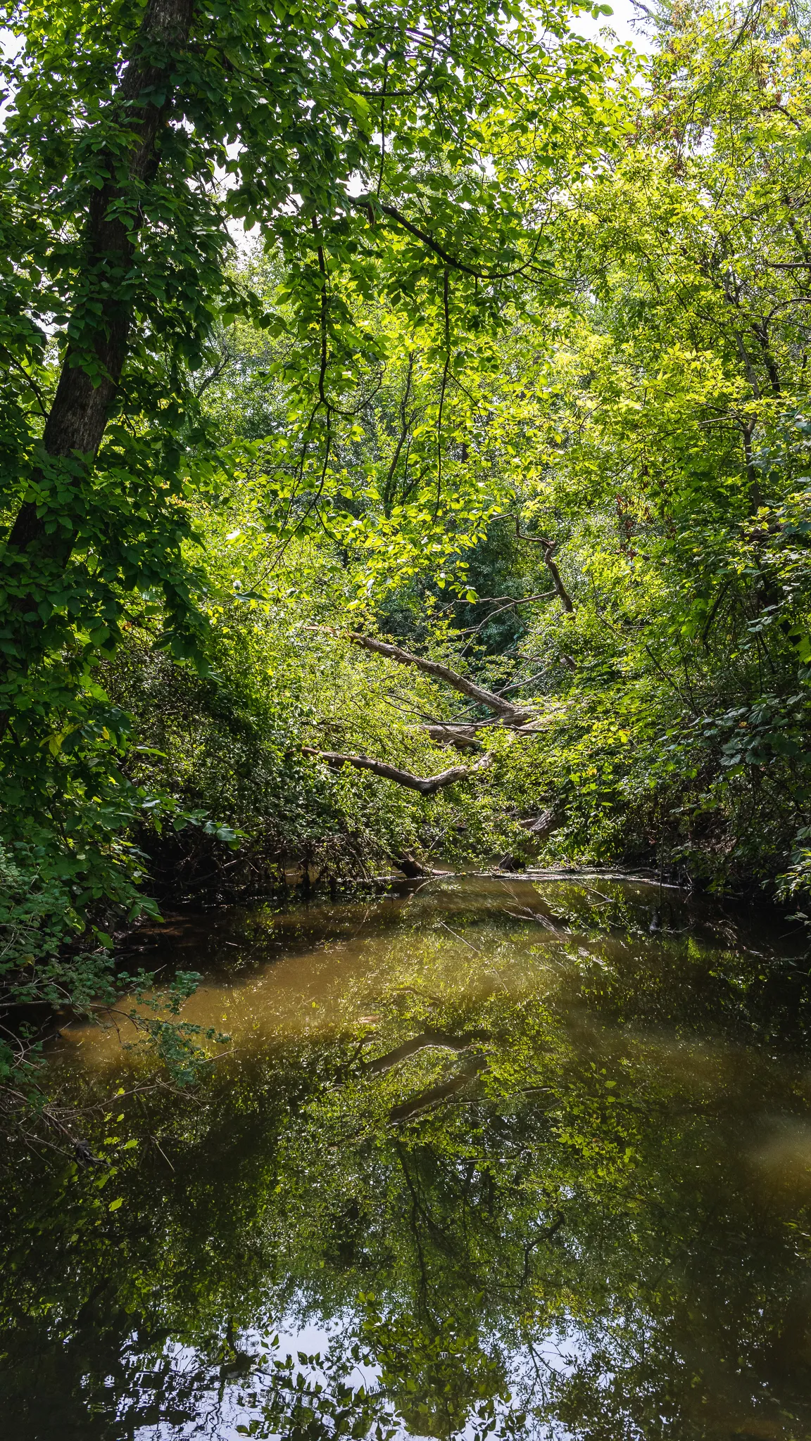Gallery image of Spring Valley