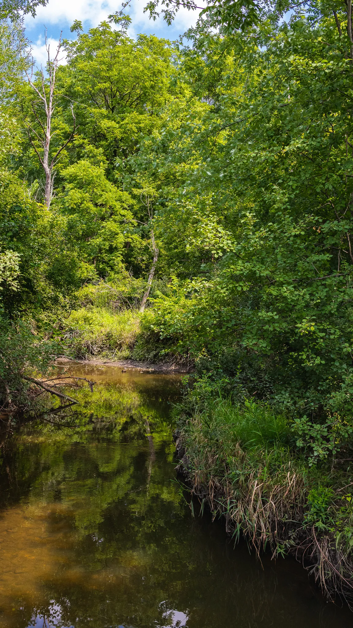 Gallery image of Spring Valley