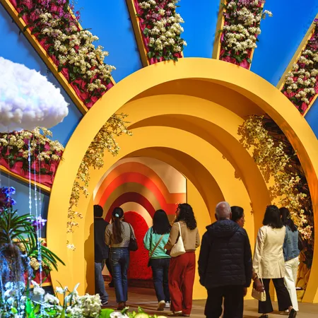 The Orchid Show 2026 - Feelin' Groovy