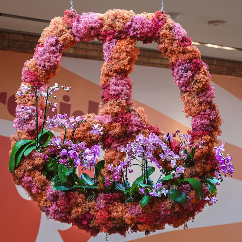 Gallery photo from The Orchid Show 2026 - Feelin' Groovy
