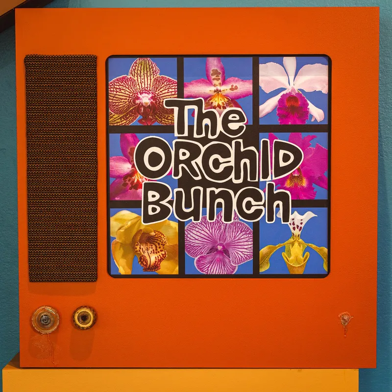Gallery photo from The Orchid Show 2026 - Feelin' Groovy
