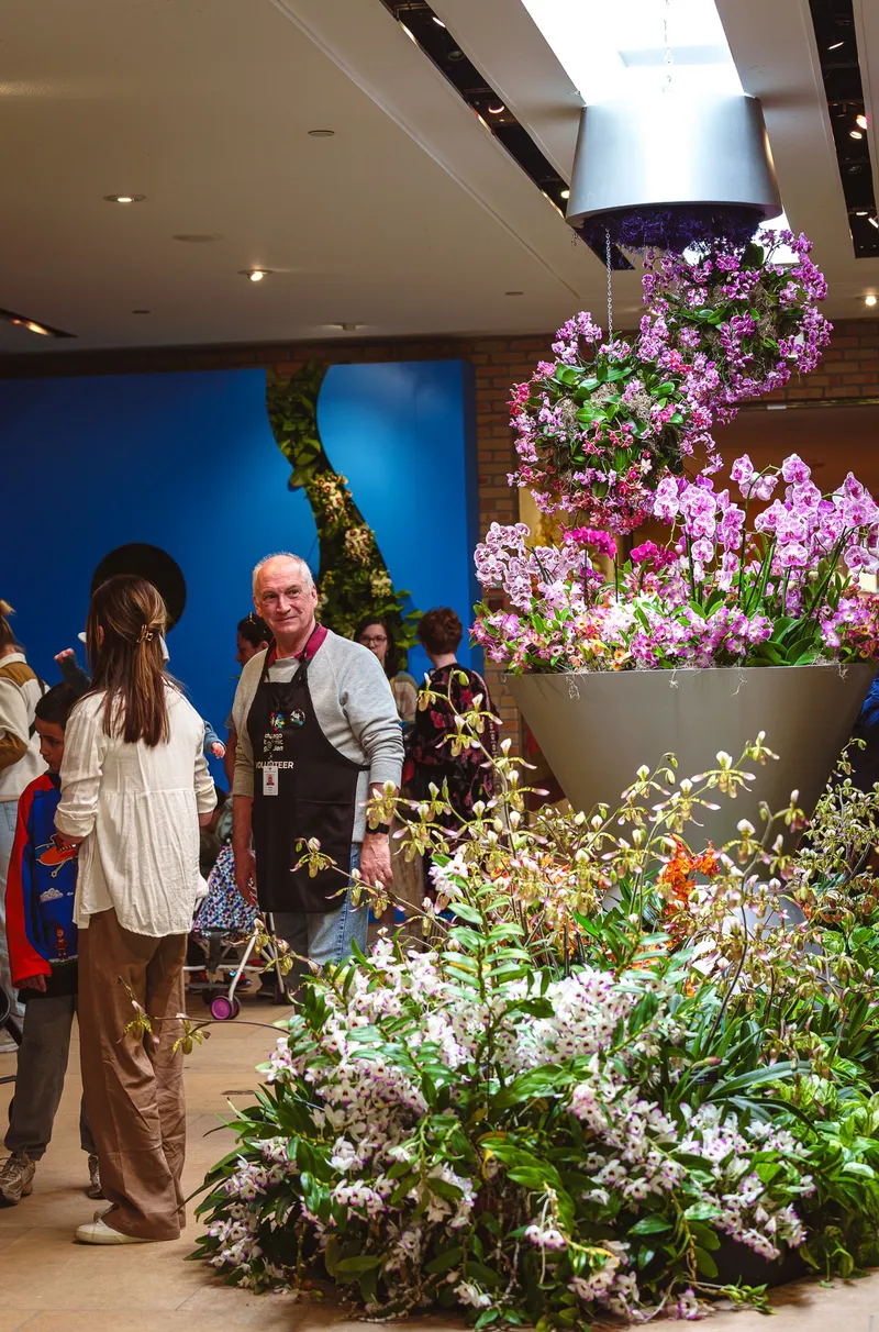 Gallery photo from The Orchid Show 2026 - Feelin' Groovy