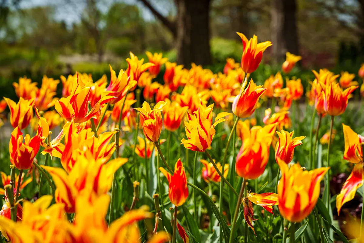Slideshow image 12