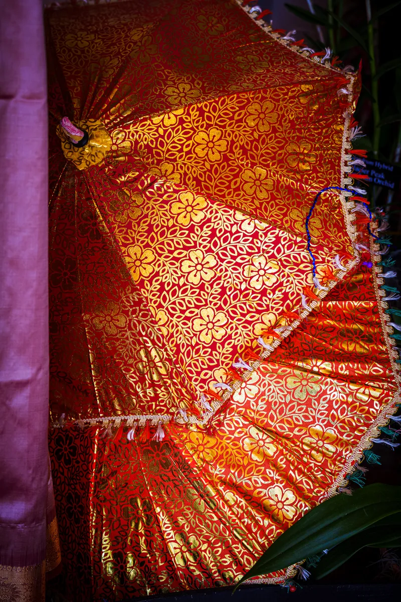 Gallery photo from The Orchid Show 2025 - India Blooms